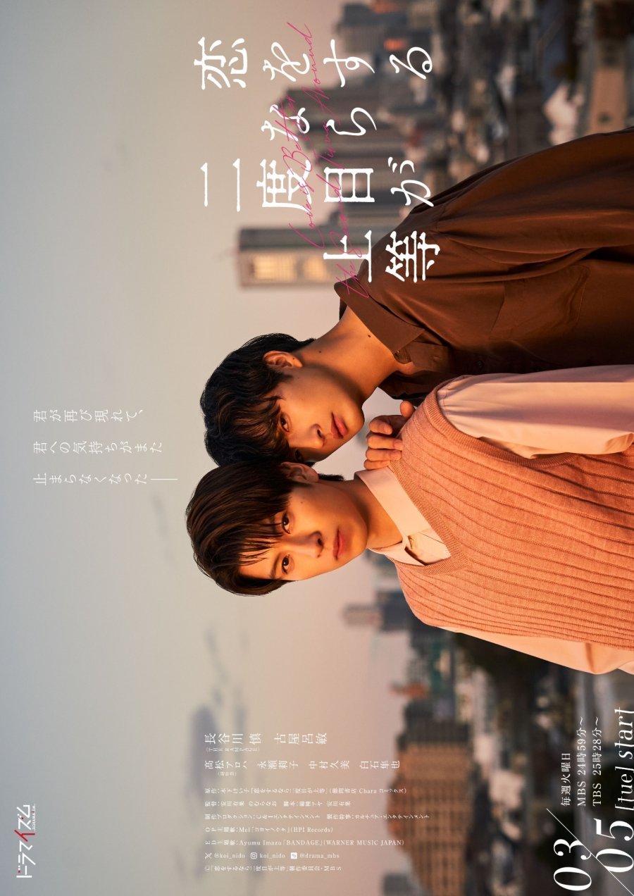 Лучше полюбить во второй раз - постер